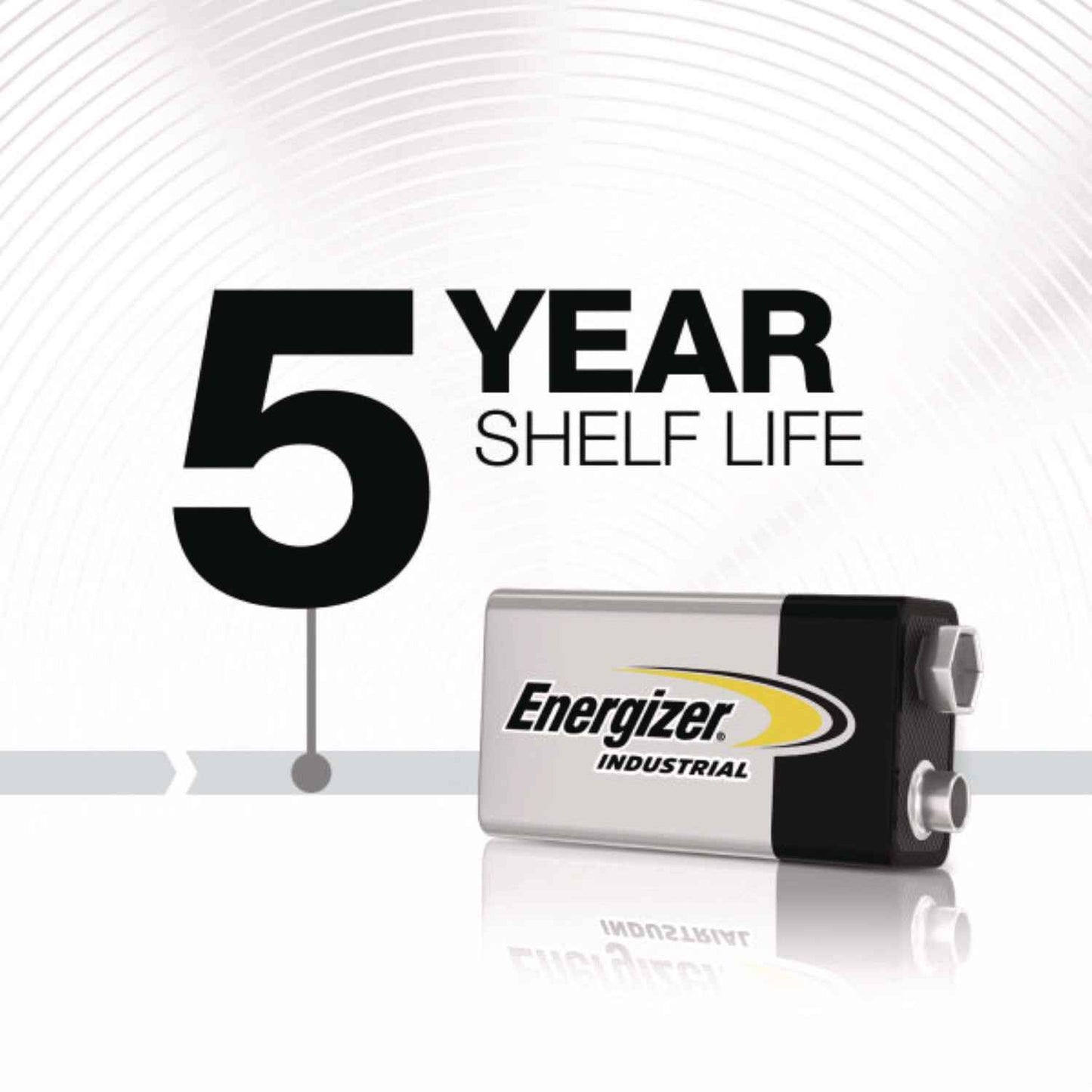 Industrial Alkaline 9V Batteries, 12/Box