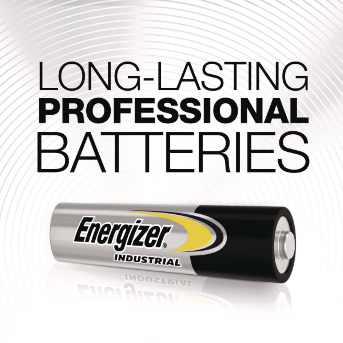 Industrial Alkaline AAA Batteries, 1.5 V, 24/Box - OrderMe