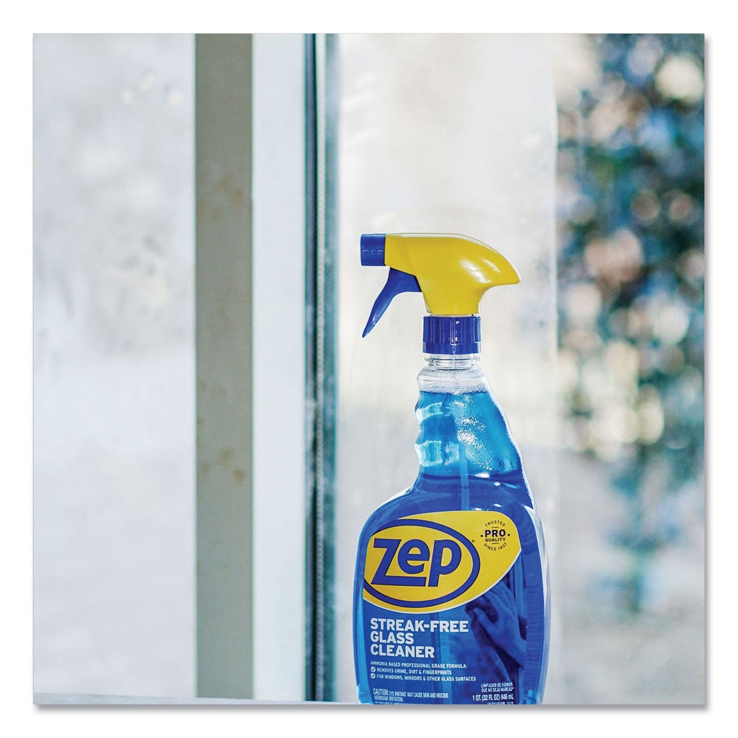 Streak-Free Glass Cleaner, Pleasant Scent, 32 oz Spray Bottle - OrderMe