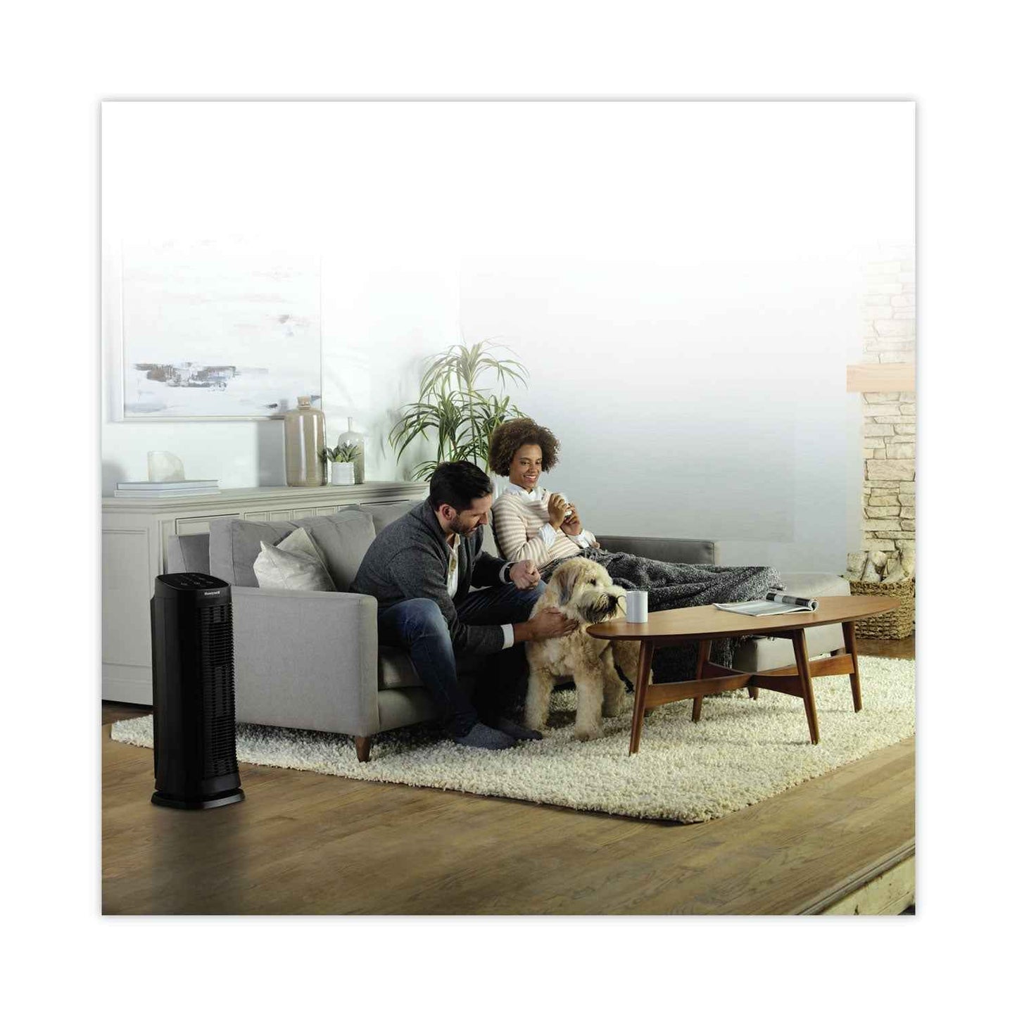 AirGenius 5 Air Purifier, 250 sq ft Room Capacity, Black - OrderMe