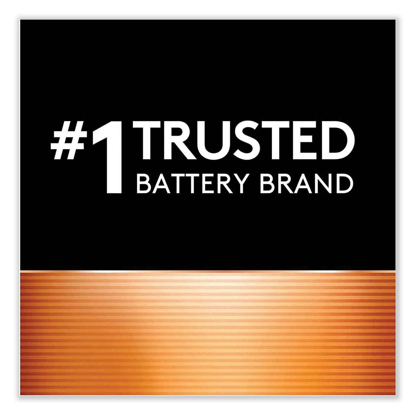 CopperTop Alkaline 9V Batteries, 12/Box