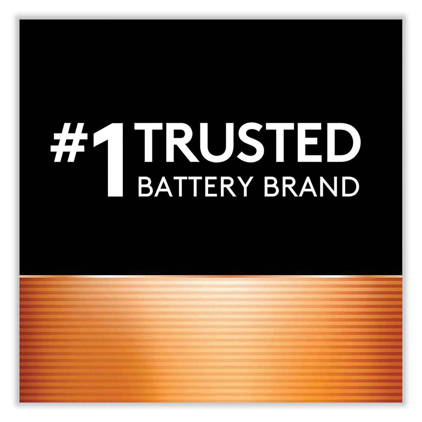 CopperTop Alkaline 9V Batteries, 4/Pack
