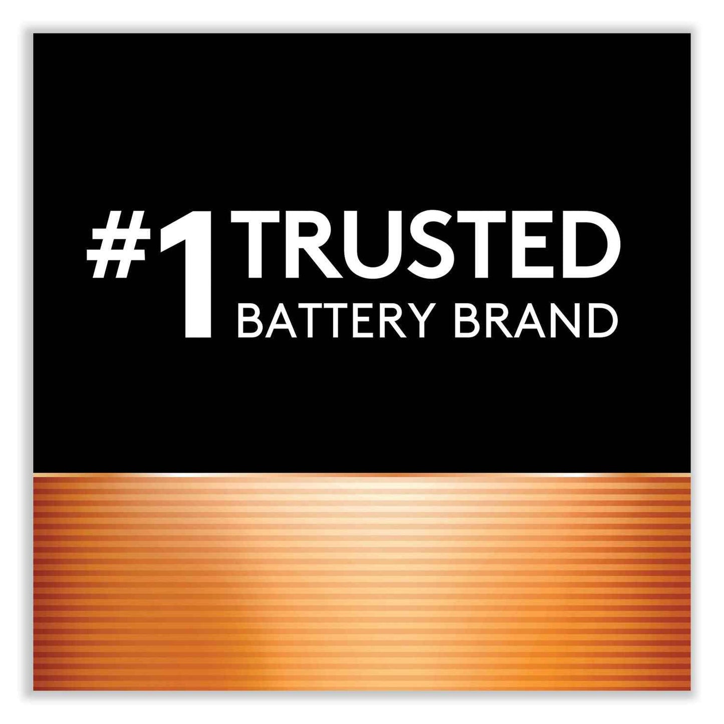 Power Boost CopperTop Alkaline AA Batteries, 4/Pack