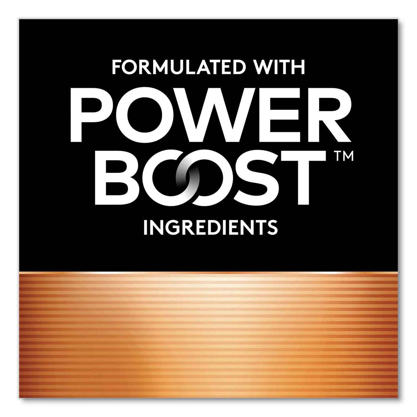 Power Boost CopperTop Alkaline AA Batteries, 4/Pack