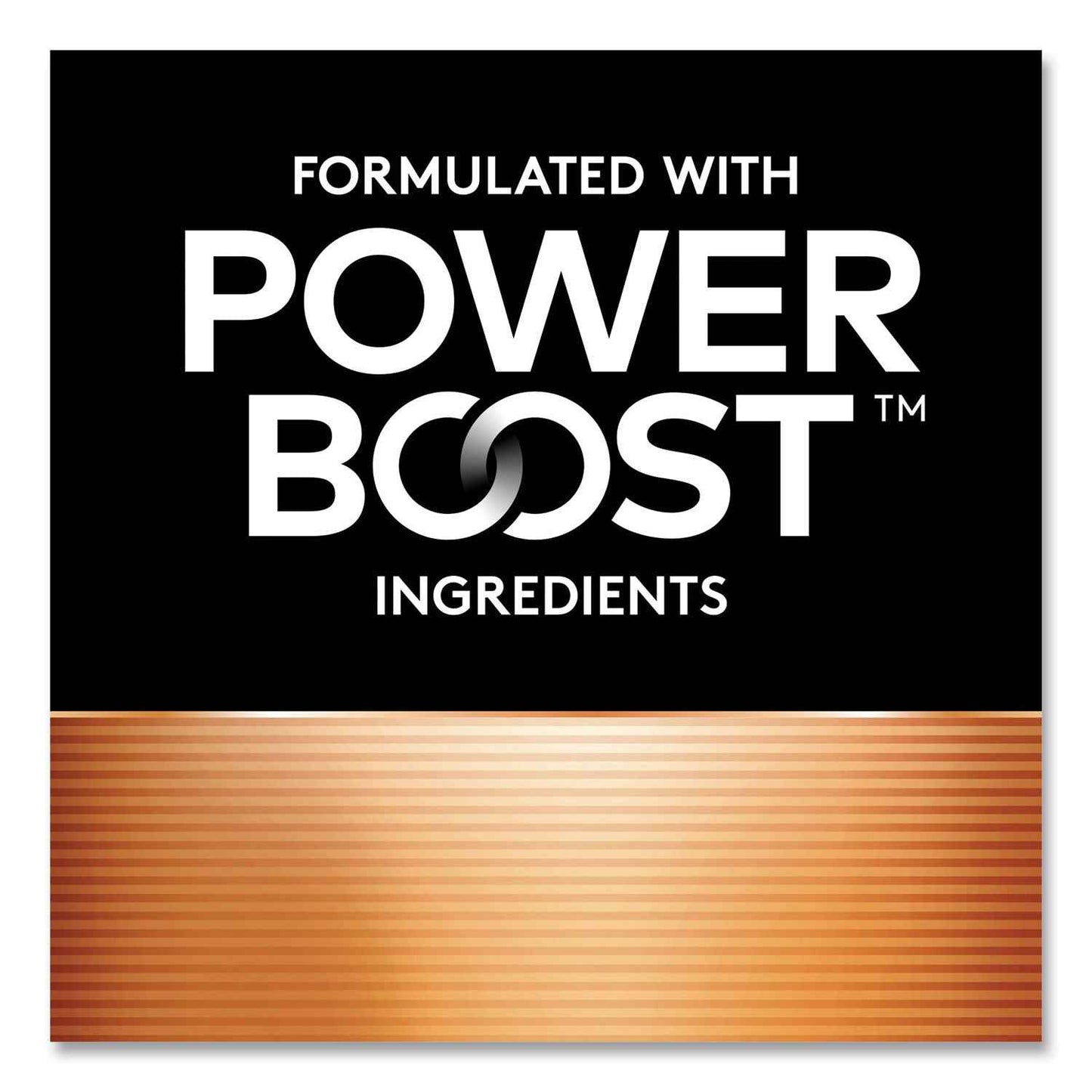 Power Boost CopperTop Alkaline AAA Batteries, 16/Pack