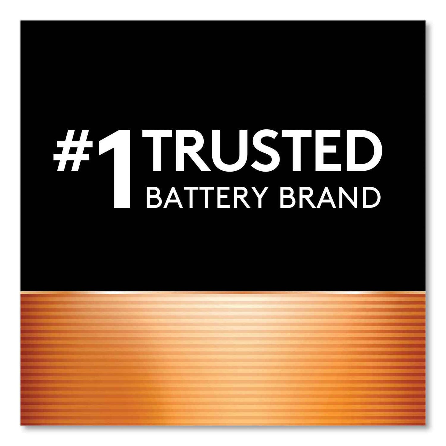 Power Boost CopperTop Alkaline AA Batteries, 8/Pack