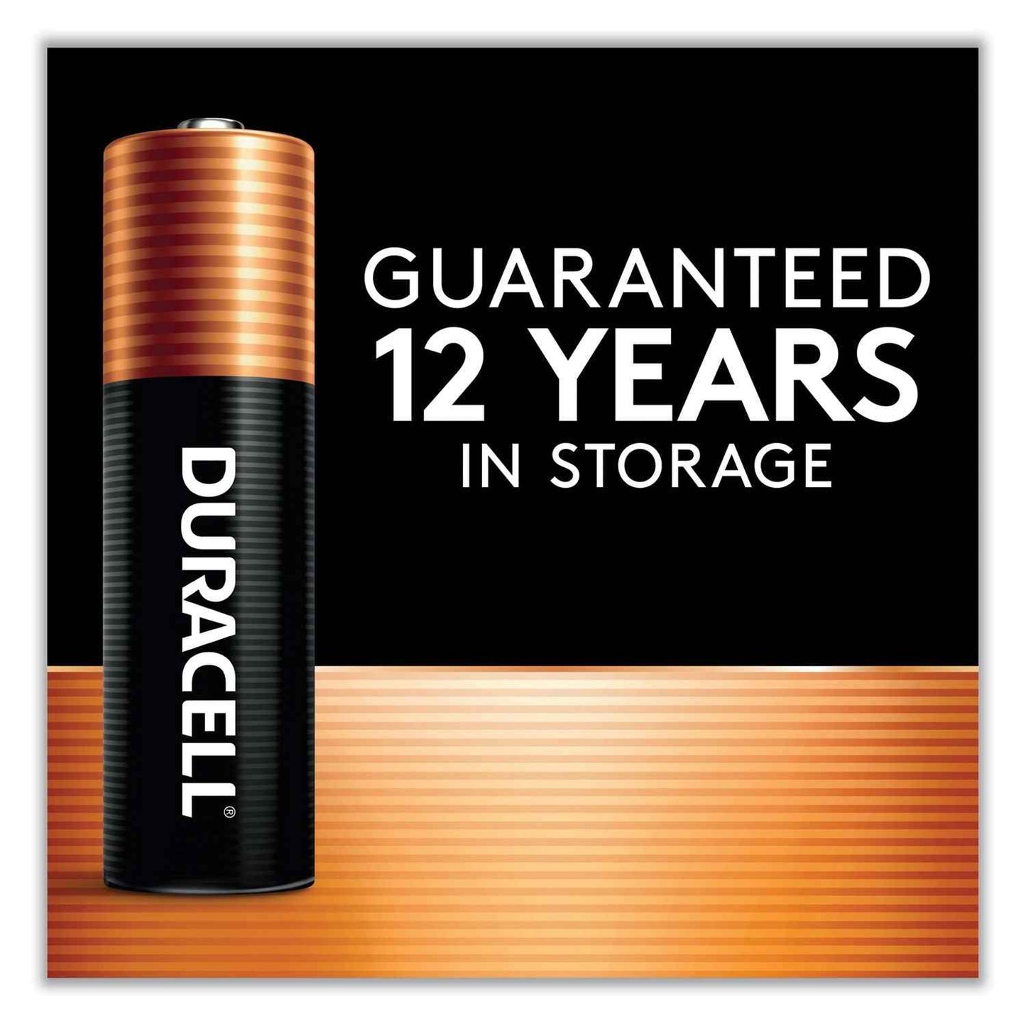 Power Boost CopperTop Alkaline AA Batteries, 224/Carton