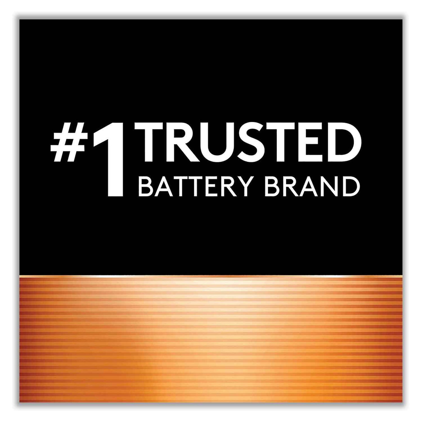 Power Boost CopperTop Alkaline AA Batteries, 224/Carton