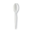 DIXIE FOOD SERVICE Plastic Cutlery, Heavy Mediumweight Teaspoons, White, 1,000/Carton - OrdermeInc