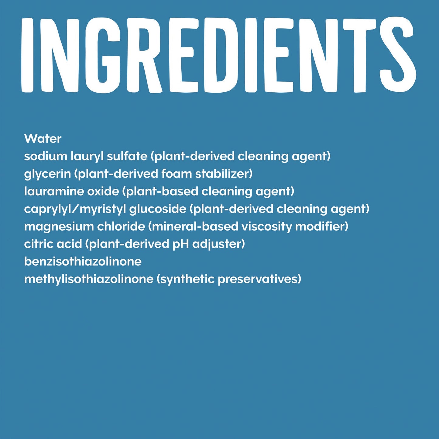 Natural Dishwashing Liquid, Free and Clear, 19 oz Bottle - OrderMe