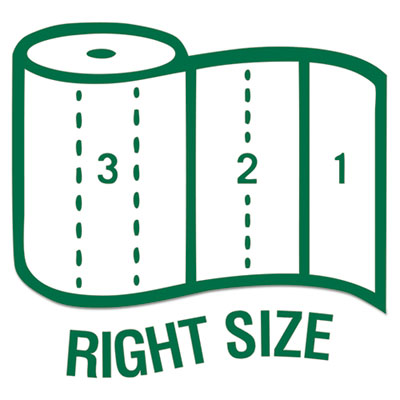 100% Recycled Paper Kitchen Towel Rolls, 2-Ply, 11 x 5.4, 156 Sheets/Roll, 24 Rolls/Carton OrdermeInc OrdermeInc