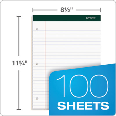 Double Docket Ruled Pads, Wide/Legal Rule, 100 White 8.5 x 11.75 Sheets, 6/Pack OrdermeInc OrdermeInc