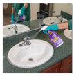 Clean Finish Disinfectant Cleaner, Herbal, 32 oz Spray Bottle, 12/Carton OrdermeInc OrdermeInc