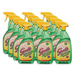 Green Formula Glass Cleaner, 33.8 oz Bottle, 12/Carton OrdermeInc OrdermeInc