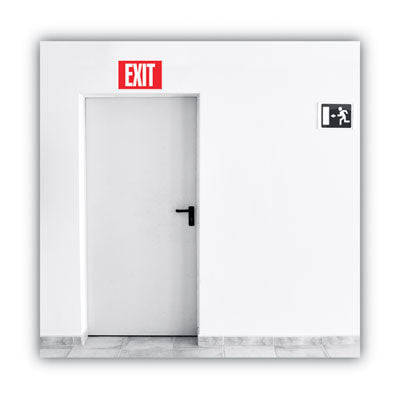 Glow-in-the-Dark Safety Sign, Exit, 12 x 8, Red OrdermeInc OrdermeInc