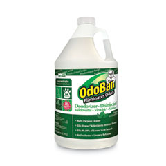 CLEAN CONTROL CORPORATION Concentrated Odor Eliminator, Eucalyptus, 1 gal Bottle, 4/Carton - OrdermeInc