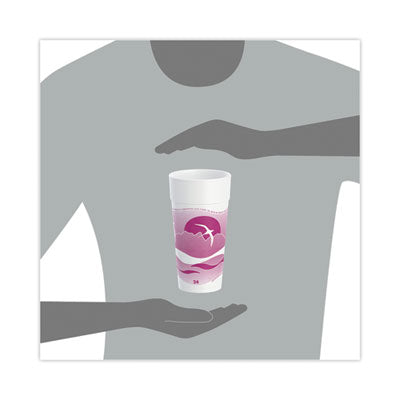 Horizon Hot/Cold Foam Drinking Cups, 24 oz, Mauve, 20/Bag, 25 Bags/Carton OrdermeInc OrdermeInc