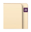 SMEAD MANUFACTURING CO. Yearly End Tab File Folder Labels, 23, 0.5 x 1, Purple, 25/Sheet, 10 Sheets/Pack