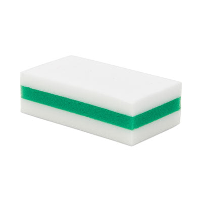 eXpunge Sponges, 4.75 x 2.5, 1.13" Thick, White/Green, 24/Carton OrdermeInc OrdermeInc