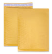 Peel Seal Strip Cushioned Mailer, #0, Extension Flap, Self-Adhesive Closure, 6 x 10, 25/Carton OrdermeInc OrdermeInc