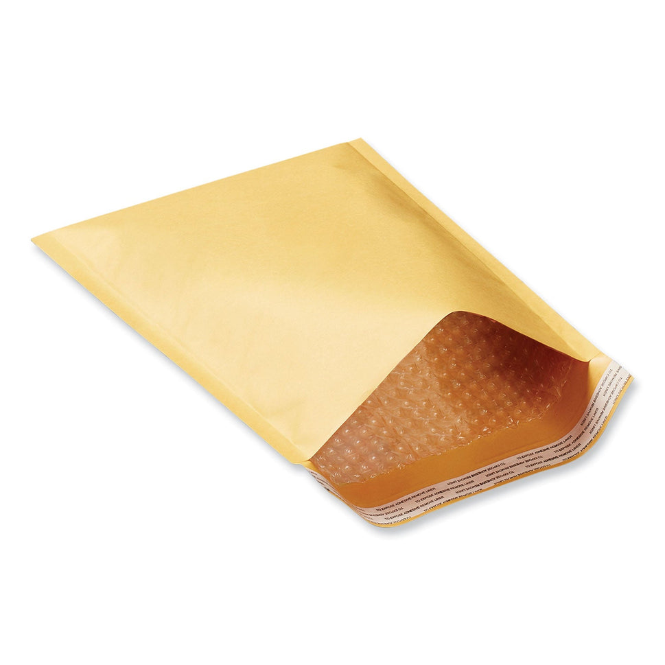 Peel Seal Strip Cushioned Mailer, #000, Extension Flap, Self-Adhesive Closure, 4 x 8, 25/Carton OrdermeInc OrdermeInc