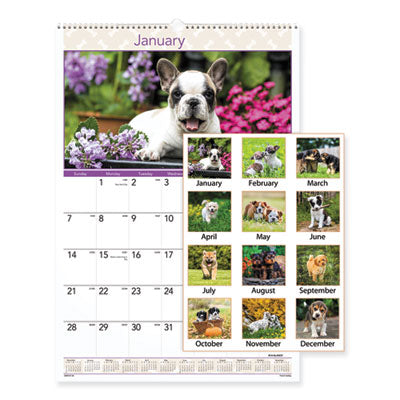 Calendars, Planners & Personal Organizers | Office Supplies | School Supplies | OrdermeInc