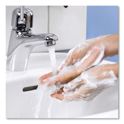 Premium Extra Mild Soap, Unscented, 1 L Refill, 6/Carton OrdermeInc OrdermeInc