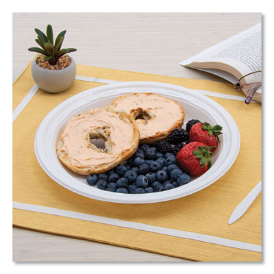 Famous Service Impact Plastic Dinnerware, Plate, 10.25" dia, White, 500/Carton OrdermeInc OrdermeInc