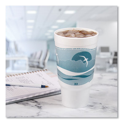 Horizon Hot/Cold Foam Drinking Cups, 32 oz, Teal/White, 16/Bag, 25 Bags/Carton OrdermeInc OrdermeInc